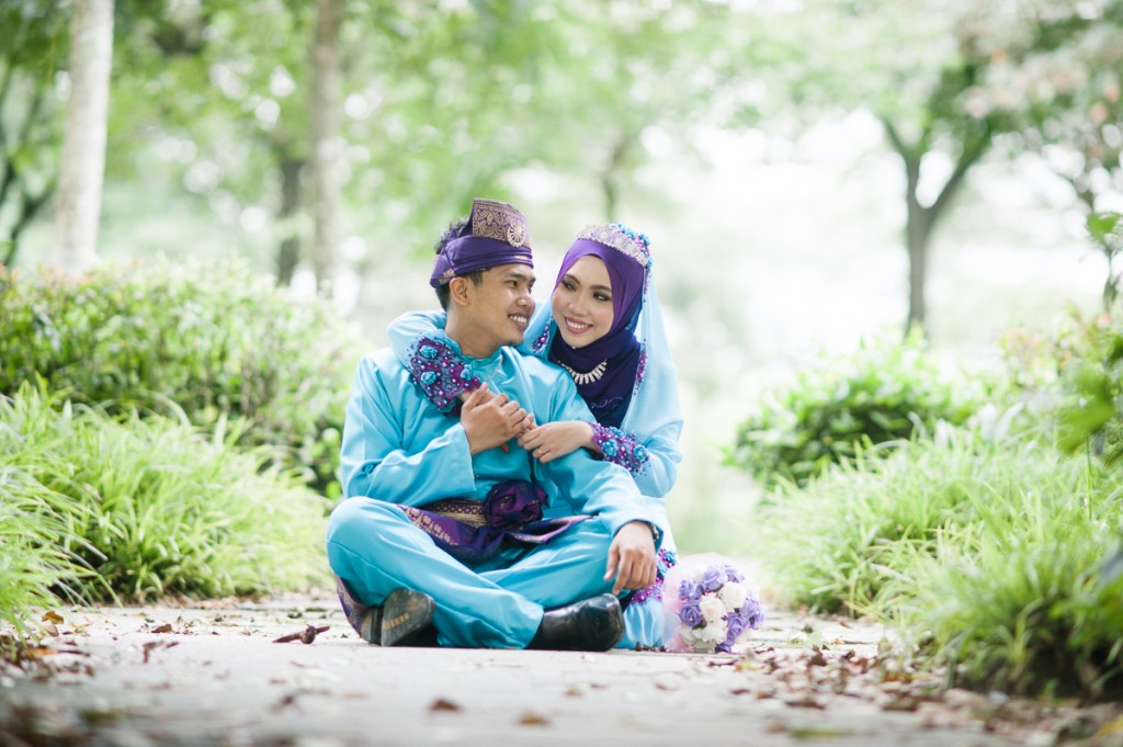 hanis2